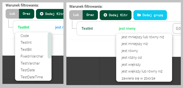 Definiowanie filtru