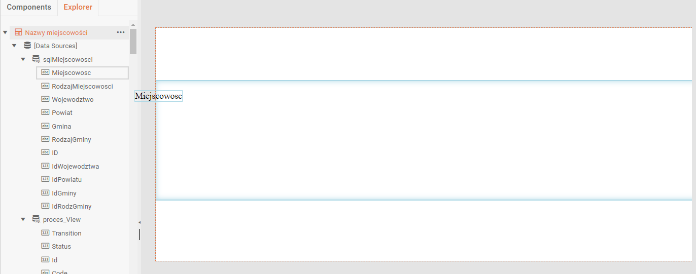 Umieszczanie pól na raporcie